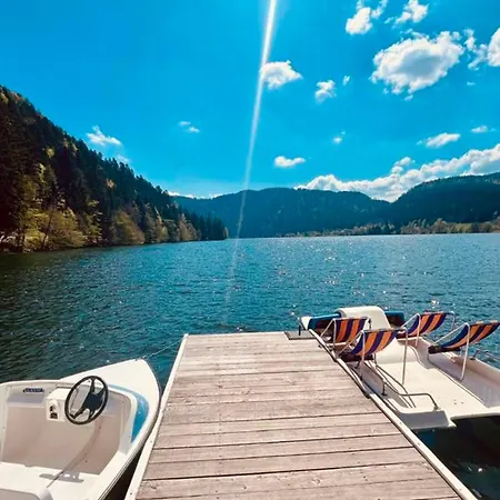 Chalet With Garden&terrace In Gérardmer